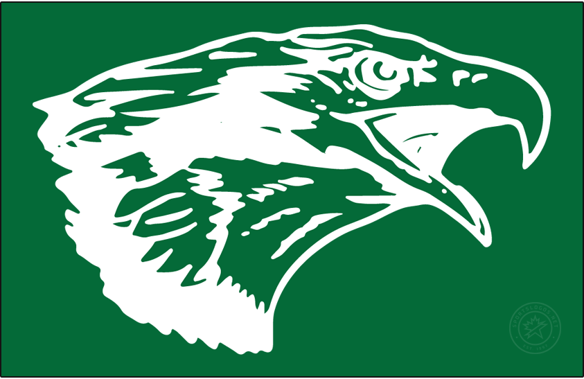 North Texas Mean Green 1994-1995 Primary Dark Logo iron on transfers for clothing
